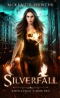 Silverfall - Book
