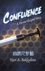 Confluence : A Person-Shaped Story - Book