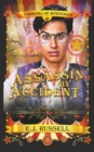 Assassin by Accident - Book