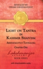 Light on Tantra in Kashmir Shaivism : Chapter One of Abhinavagupta's Tantraloka - eBook