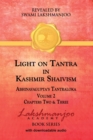 Light on Tantra in Kashmir Shaivism - Volume 2 - Book