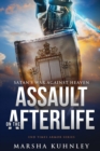 Assault On The Afterlife : Satan's War Against Heaven - Book