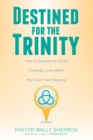 Destined for the Trinity : How to Experience God's Trinitarian Love Within the Church and Beyond - Book