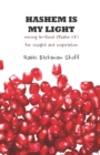 Hashem Is My Light : Mining le-Dovid (Psalm 27) for Insight and Inspiration - Book