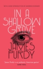 In a Shallow Grave (Valancourt 20th Century Classics) - Book