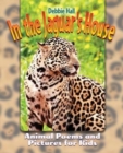 In the Jaguar's House - Book