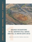 Salvage Excavations at Tel Qashish (Tell Qasis) and Tell el-Wa'er (2010-2013) - eBook