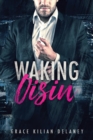 Waking Oisin - Book