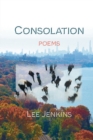 Consolation; Poems - Book