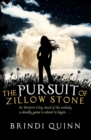 The Pursuit of Zillow Stone - Book