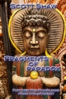 Fragments of Paradox : Further Zen Ramblings from the Internet - Book