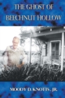 The Ghost of Beechnut Hollow : Book Two of The Miracle of the Mountain Series - Book