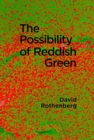 The Possibility of Reddish Green : Wittgenstein Outside Philosophy - Book