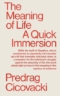 The Meaning of Life : A Quick Immersion - Book