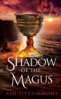 Shadow of the Magus : Stranger Magics, Book Thirteen - Book
