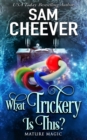 What Trickery Is This? : A Paranormal Women's Fiction Novel - Book