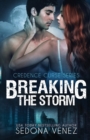 Breaking the Storm - Book