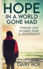 Hope in a World Gone Mad : Finding God in Grief, Fear, and Uncertainty - Book