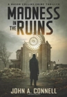 Madness in the Ruins : A Mason Collins Crime Thriller 1 - Book