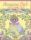 Amazing Owls : Adult Coloring Book Designs - Book