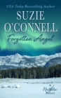 Forgotten Angel - Book