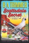 Scottsdale Secret : a fun, romantic, thrilling, adventure... - Book