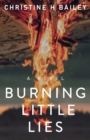 Burning Little Lies - Book