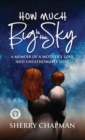 How Much Big Is the Sky : A Memoir of a Mother's Love and Unfathomable Loss - Book