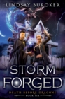 Storm Forged : An Urban Fantasy Novel - Book