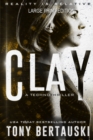 Clay (Large Print Edition) : A Technothriller - Book