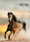 2020-2024 Five Year Planner : Five Year Monthly Planner 8.5 x 11 with Hardcover (Wild Stallion) - Book