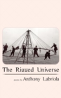 The Rigged Universe - Book