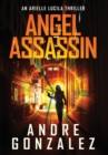 Angel Assassin (Arielle Lucila Series, Book 1) - Book