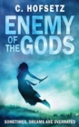 Enemy of the Gods : Sometimes, Dreams are Overrated - Book