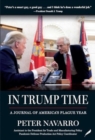In Trump Time : A Journal of America's Plague Year - Book