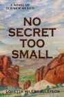 No Secret Too Small : A Novel of Old New Mexico - Book