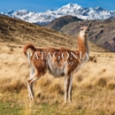 Patagonia National Park: Chile : Chile - Book