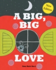 A Big, Big Love - Book
