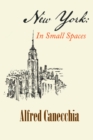 NEW YORK : IN SMALL SPACES - eBook