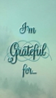 I'm Grateful For... : A Double Gratitude Journal - Book