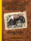 My Horse, The Hummingbird and A Very Small Tiger - eBook