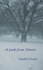 A Look from Winter - Book