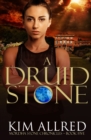A Druid Stone : A Time Travel Romance Adventure - Book