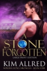 A Stone Forgotten Large Print : Time Travel Adventure Romance - Book