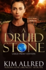 A Druid Stone Large Print : Time Travel Adventure Romance - Book