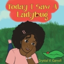 Today I Saw A Ladybug - Book