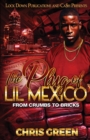 The Plug of Lil Mexico - Book
