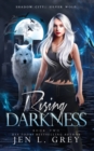 Rising Darkness - Book