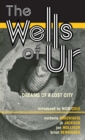 The Wells of Ur : Dreams of a Lost City - Book