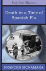 Death in a Time of Spanish Flu - Book